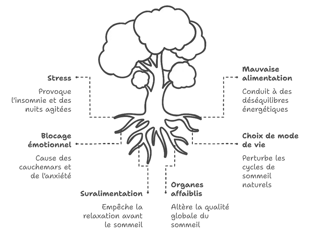 Schema-quels-sont-les-principaux-troubles-du-sommeil